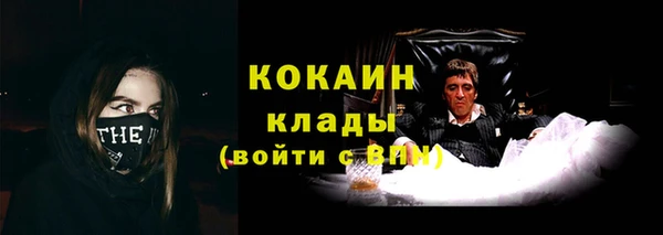 твердый Аркадак
