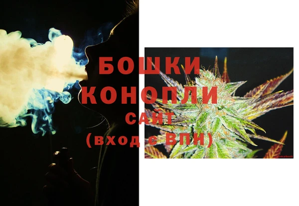 твердый Аркадак